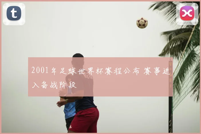 2001年足球世界杯赛程公布 赛事进入备战阶段