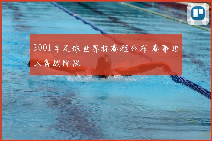 2001年足球世界杯赛程公布 赛事进入备战阶段